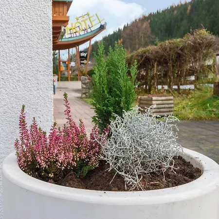 Lovely With Sauna Storage Pool Terrace Apartment Wald im Pinzgau