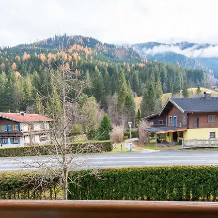 Lovely With Sauna Storage Pool Terrace *